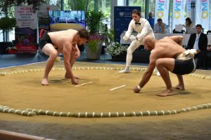 Érd Kupa: erős magyar kezdés, nemzetközi mezőnyben